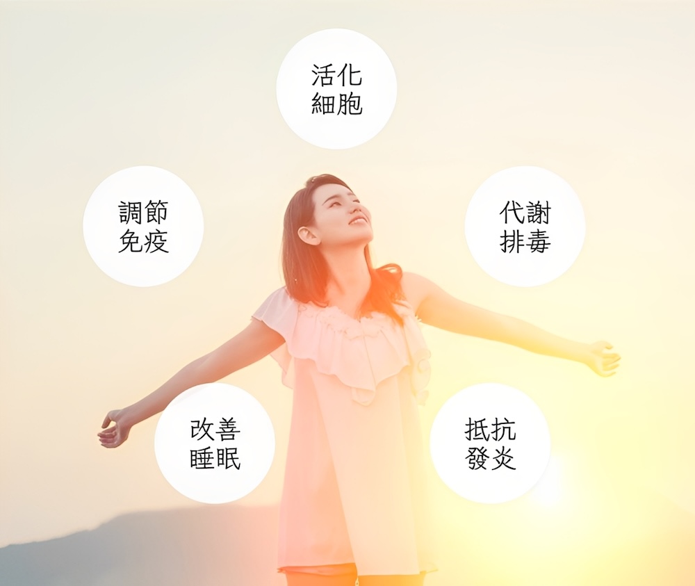 靜脈雷射-特色示意圖